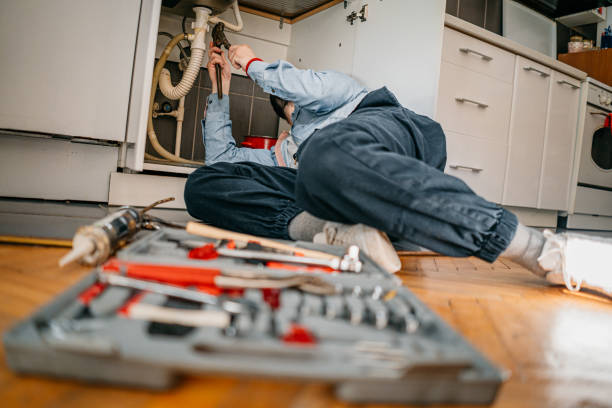 Best Water Softener Installation  in Meridian, CO