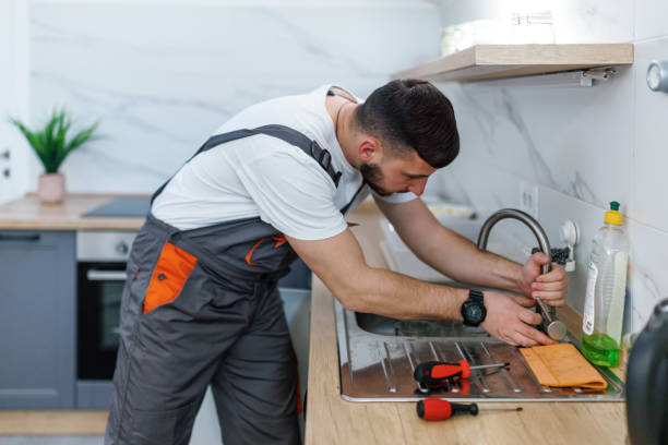 Best Affordable Plumber Near Me  in Meridian, CO