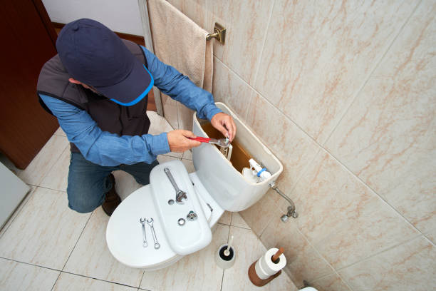 Best Commercial Plumbing Services  in Meridian, CO
