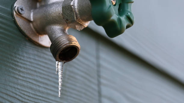 Best Same-Day Plumbing Service  in Meridian, CO
