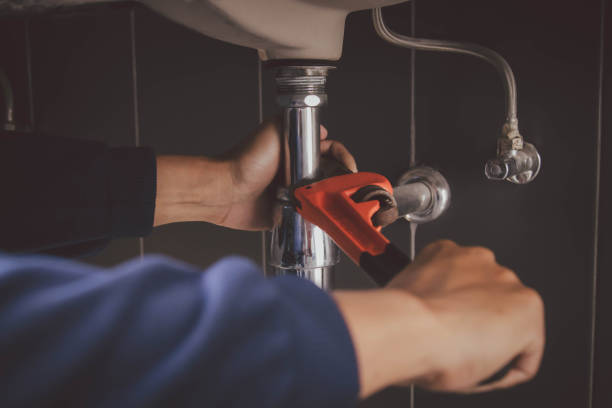 Best Affordable Plumber Near Me  in Meridian, CO